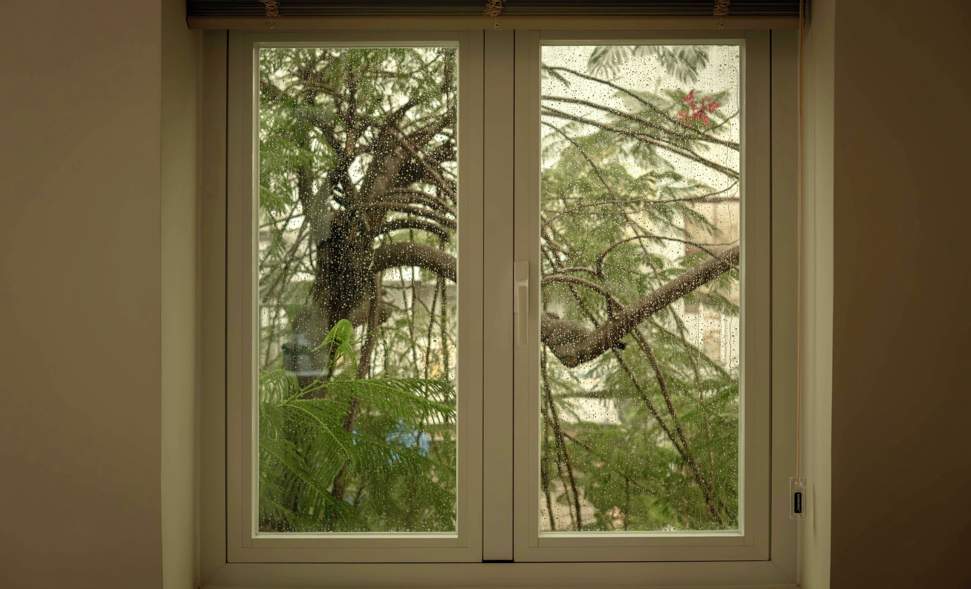 A window with a view of trees and a clear sky.