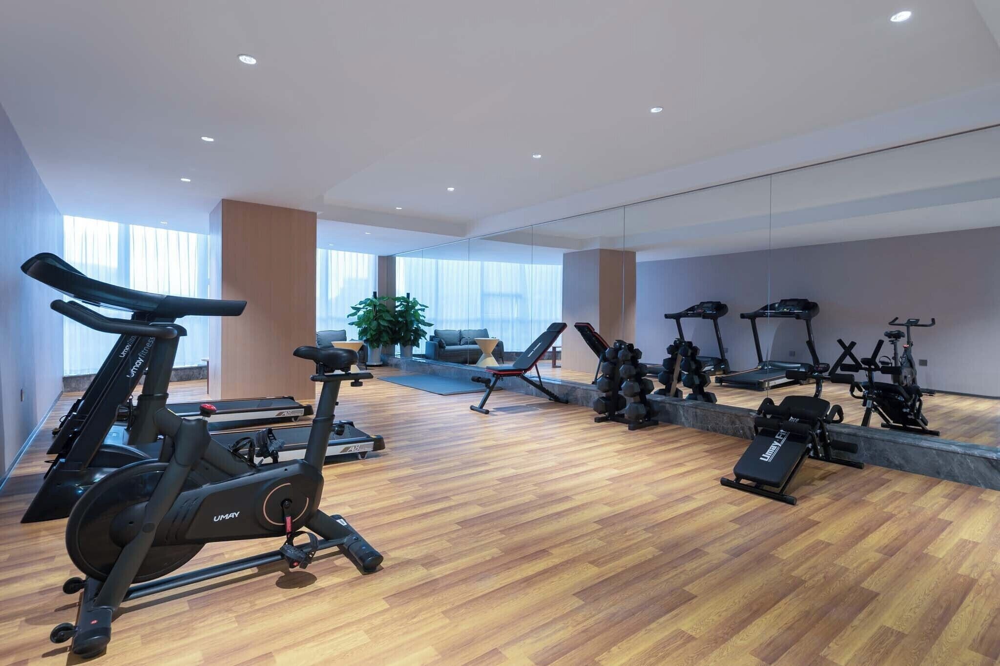 Gimnasio