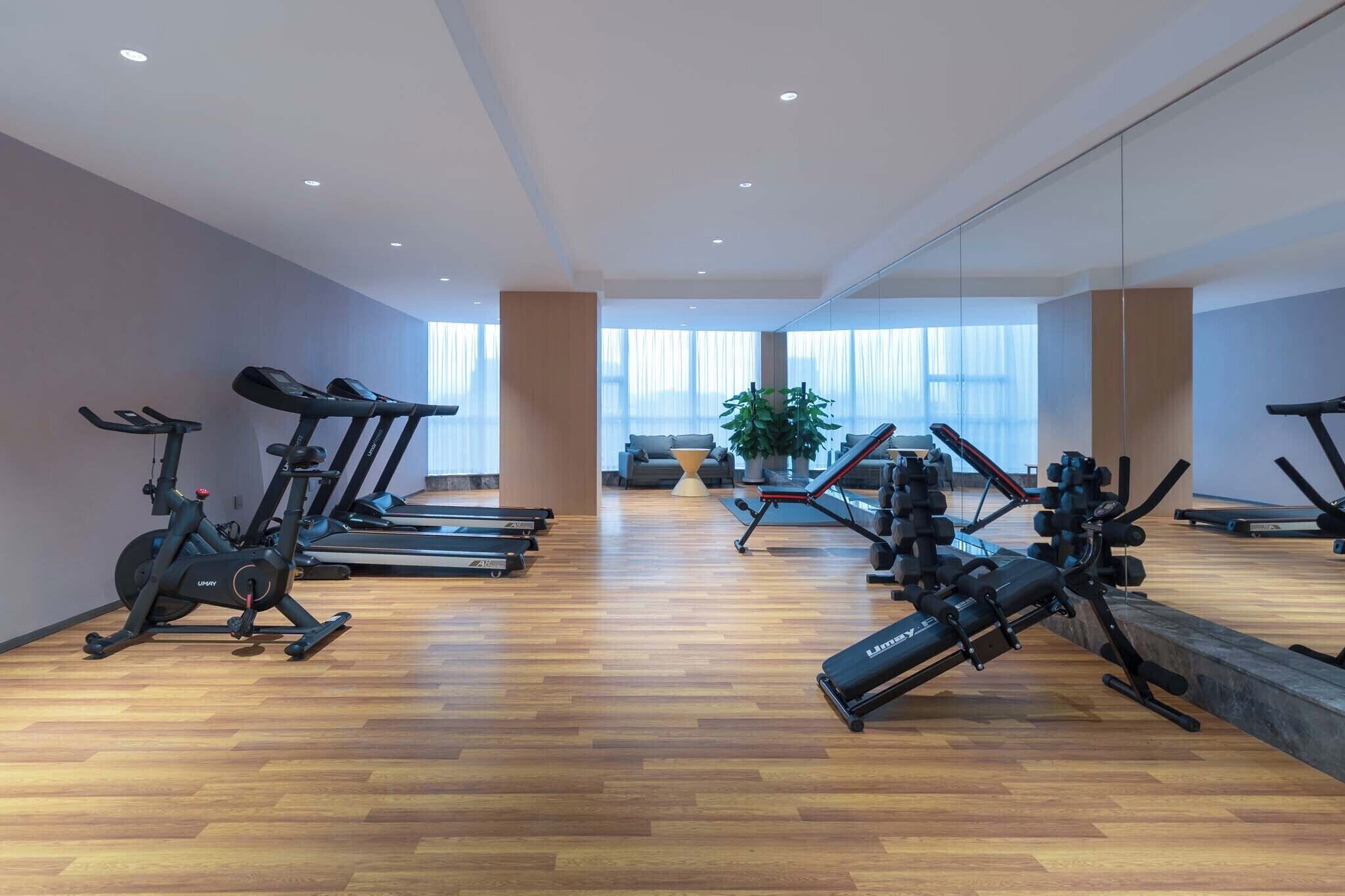 Gimnasio