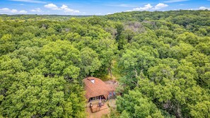 Ein Haus, umgeben von dichtem Wald, mit freiem Blick zum Himmel.