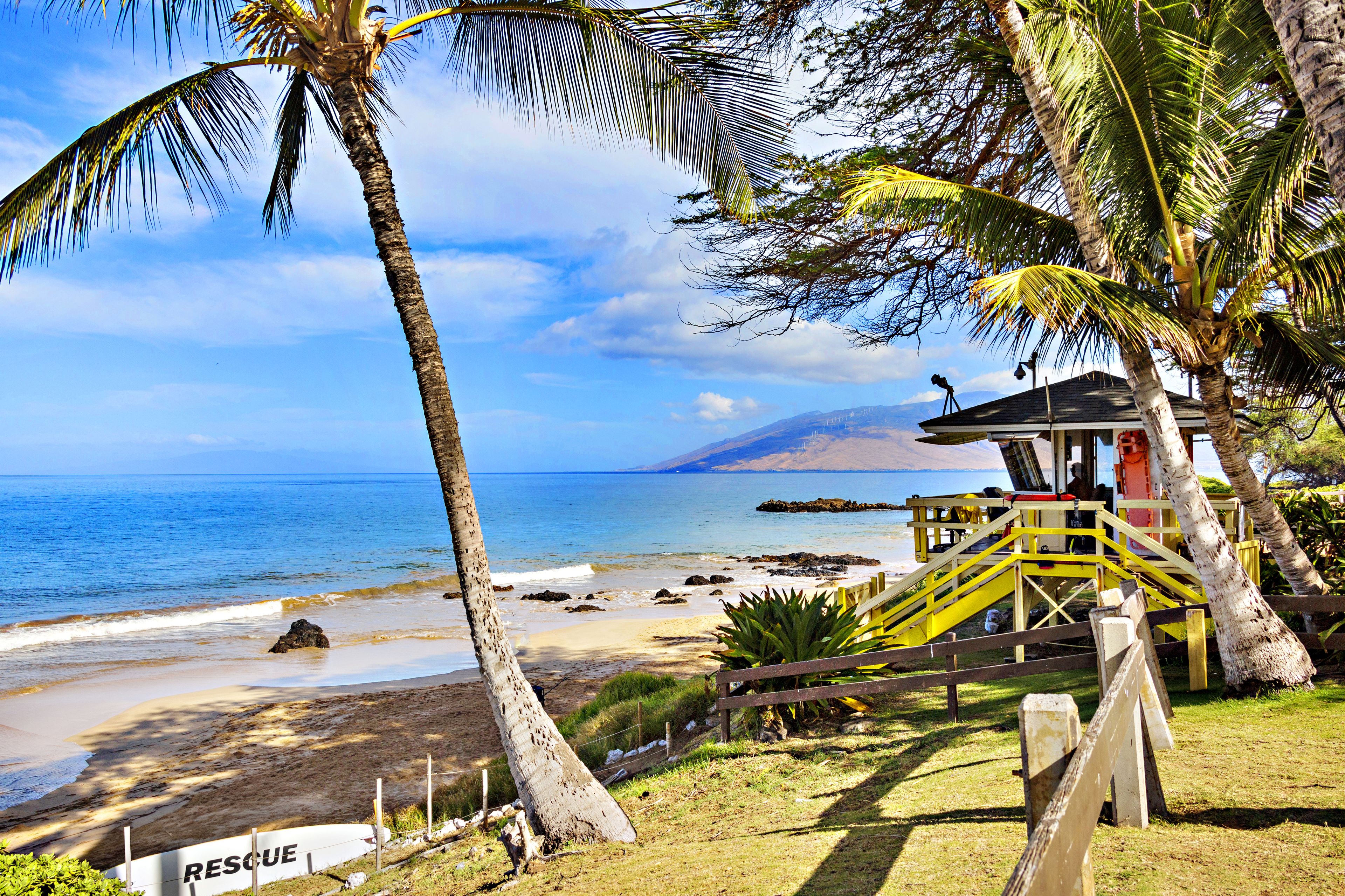 Escena de playa con una torre de salvavidas, palmeras y una vista despejada del océano.