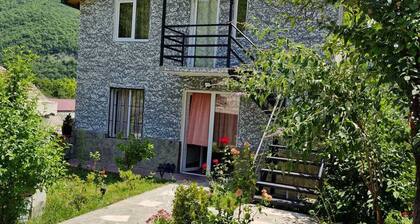cozy house with stunning views of the Aragvi Valley