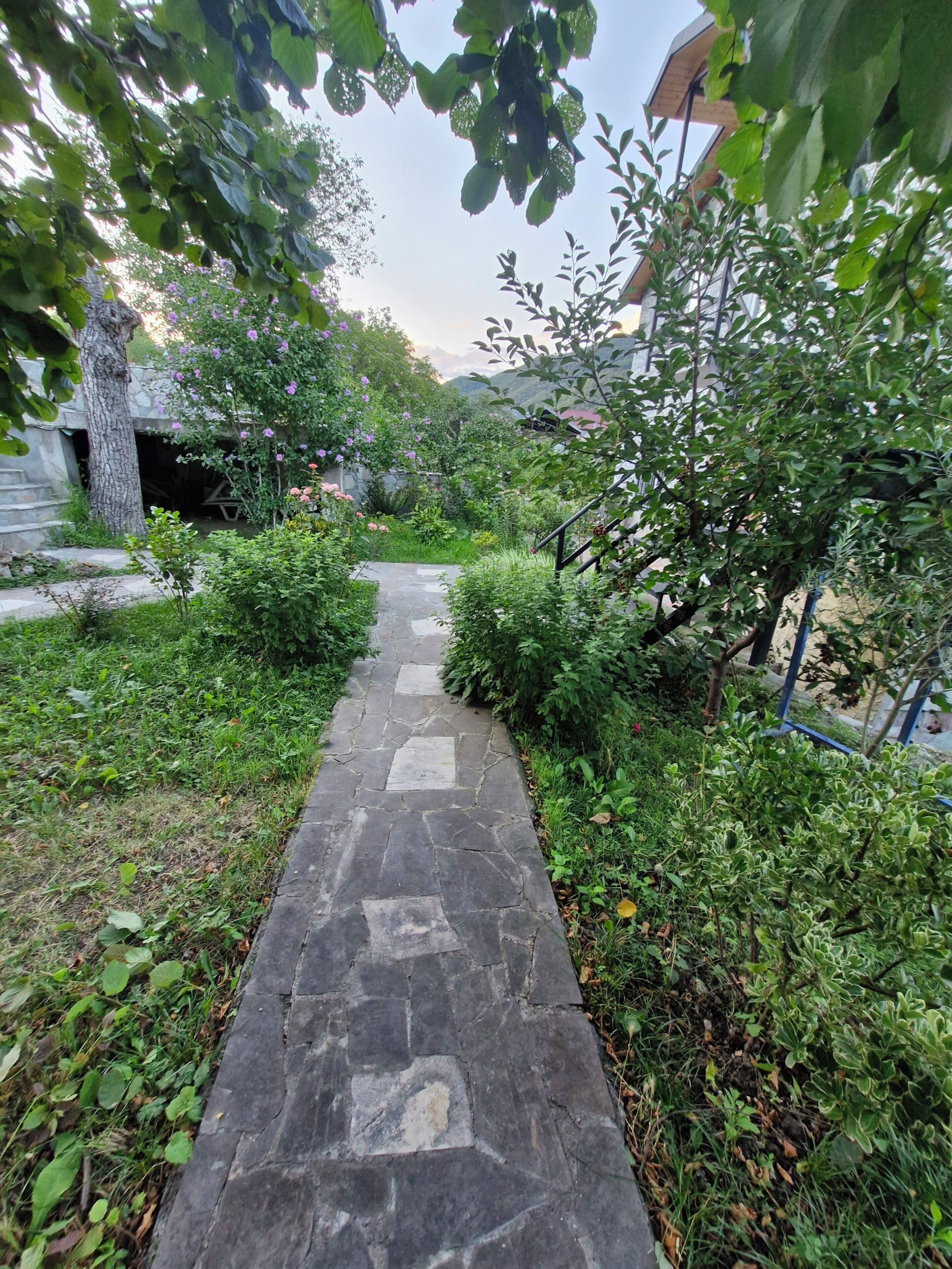 A stone pathway leading through a lush garden with various plants and trees.