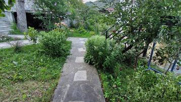 A stone pathway leading through a lush garden with various plants and trees.