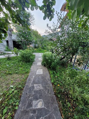 Un chemin de pierres serpente à travers un jardin luxuriant, où l’on trouve une grande variété de plantes et d’arbres.