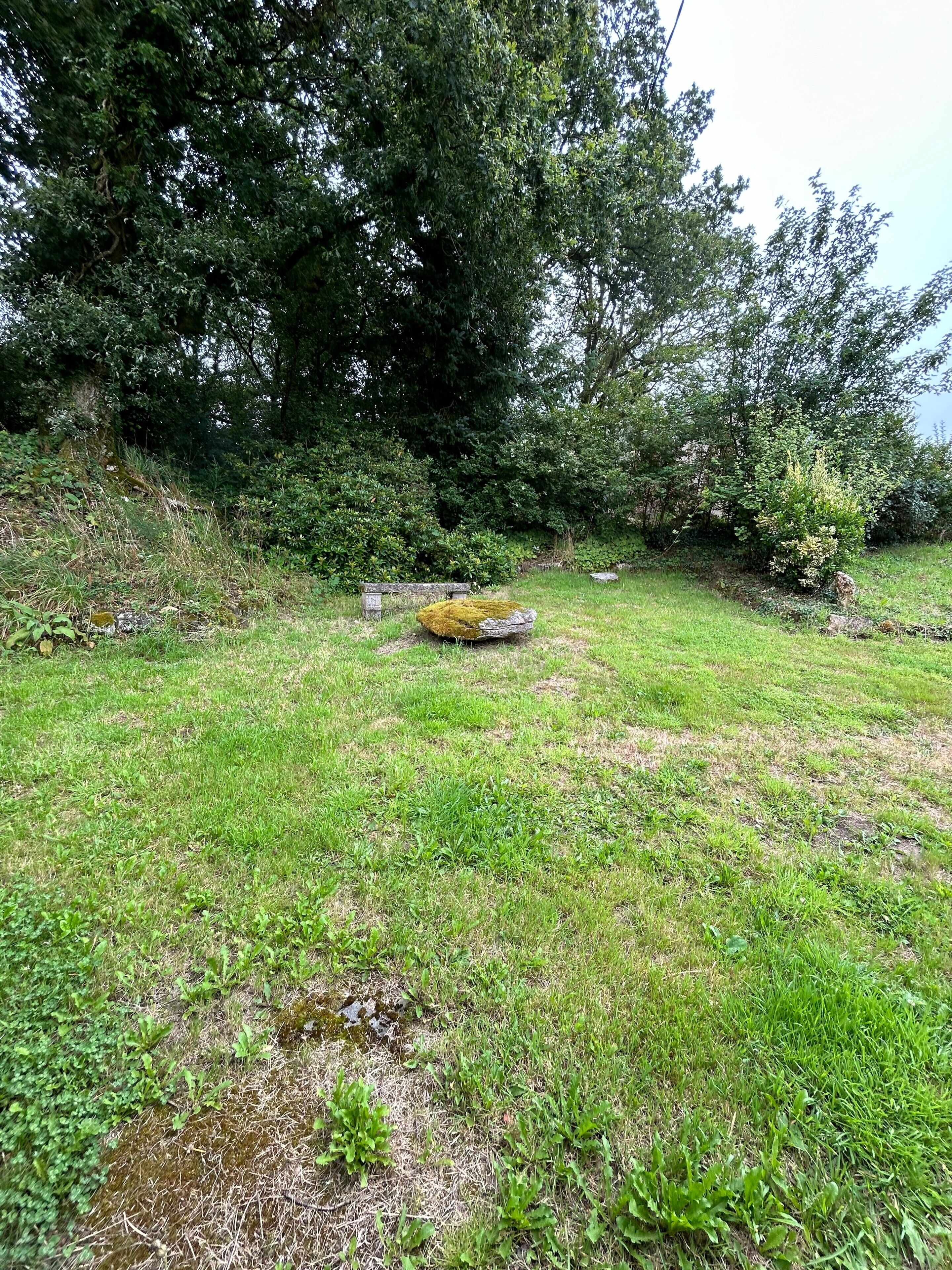 Une zone herbeuse avec un banc en pierre et une petite formation rocheuse.