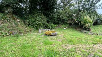 Une zone herbeuse avec un banc en pierre et une petite formation rocheuse.