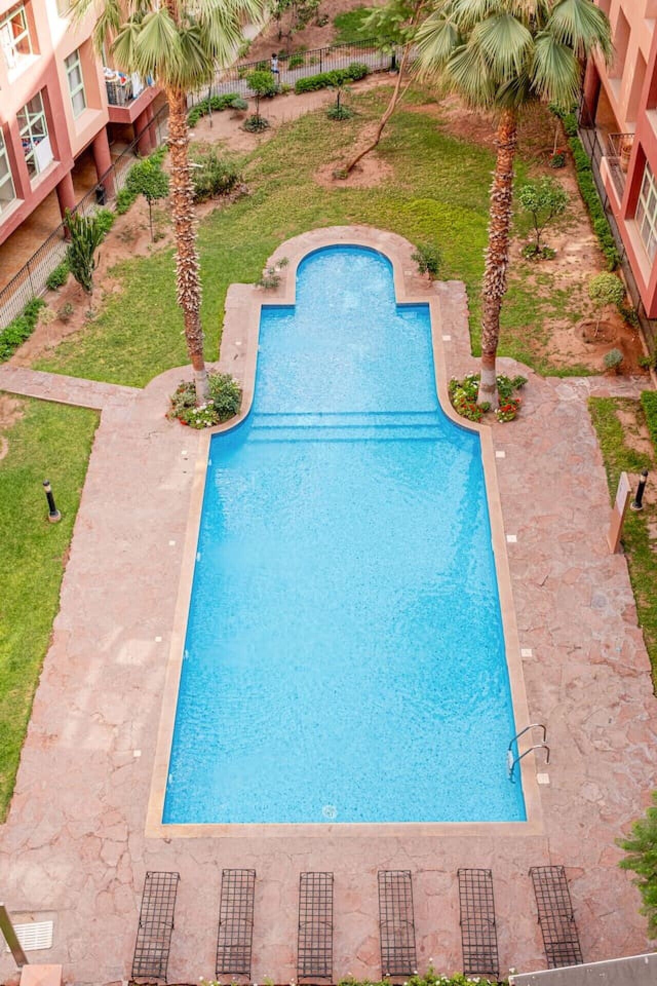 A rectangular swimming pool with a stone border, surrounded by a grassy area with palm trees, and adjacent to a building with balconies.