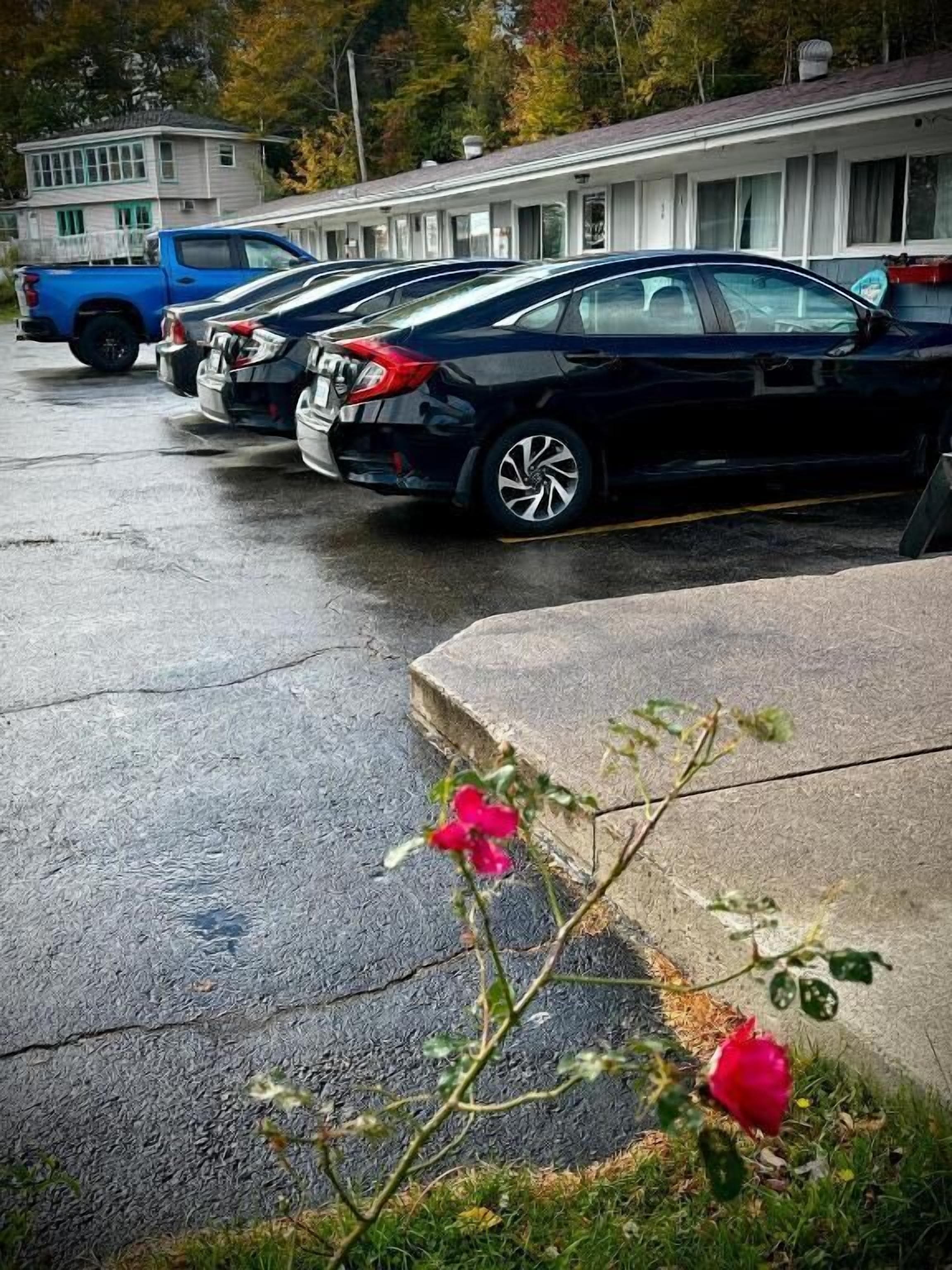 A row of parked cars in a parking lot with a motel in the background.