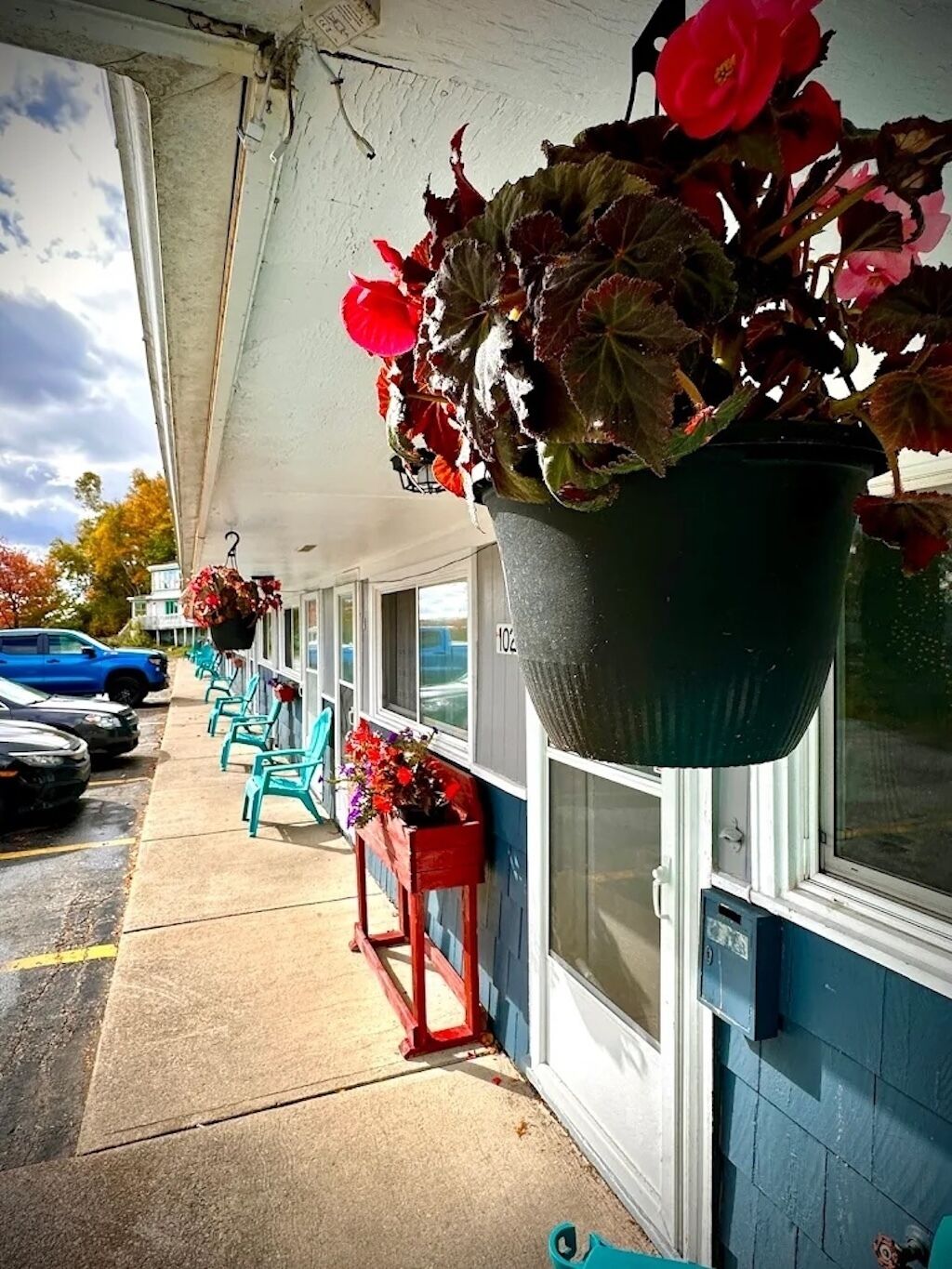 A hotel exterior with a covered outdoor seating area, a hanging flower planter, and a row of parked cars.