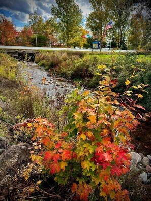 A natural landscape with a stream, autumn foliage, and a bridge.
