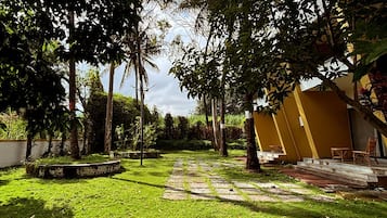 A courtyard with a stone pathway, surrounded by lush greenery and trees.