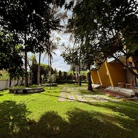 A courtyard with a stone pathway, surrounded by lush greenery and trees.