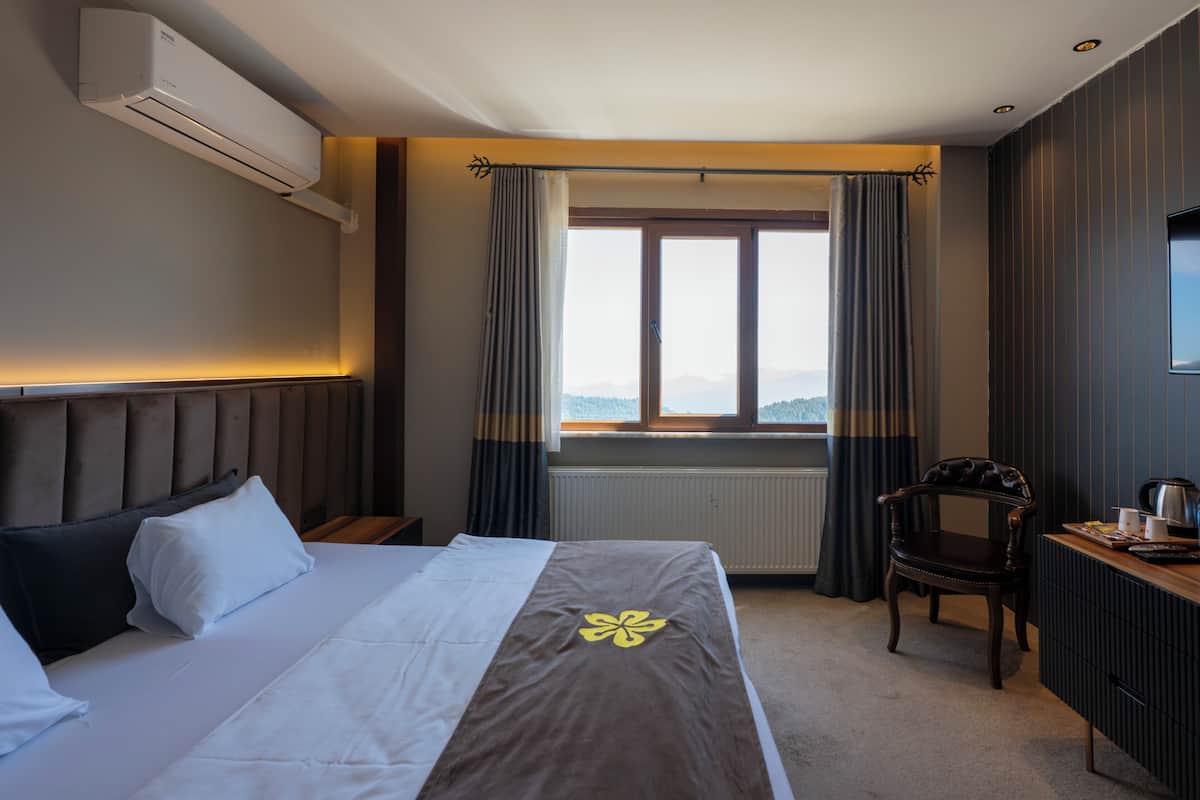 Standard Double Room, Mountain View | Desk, WiFi (free)