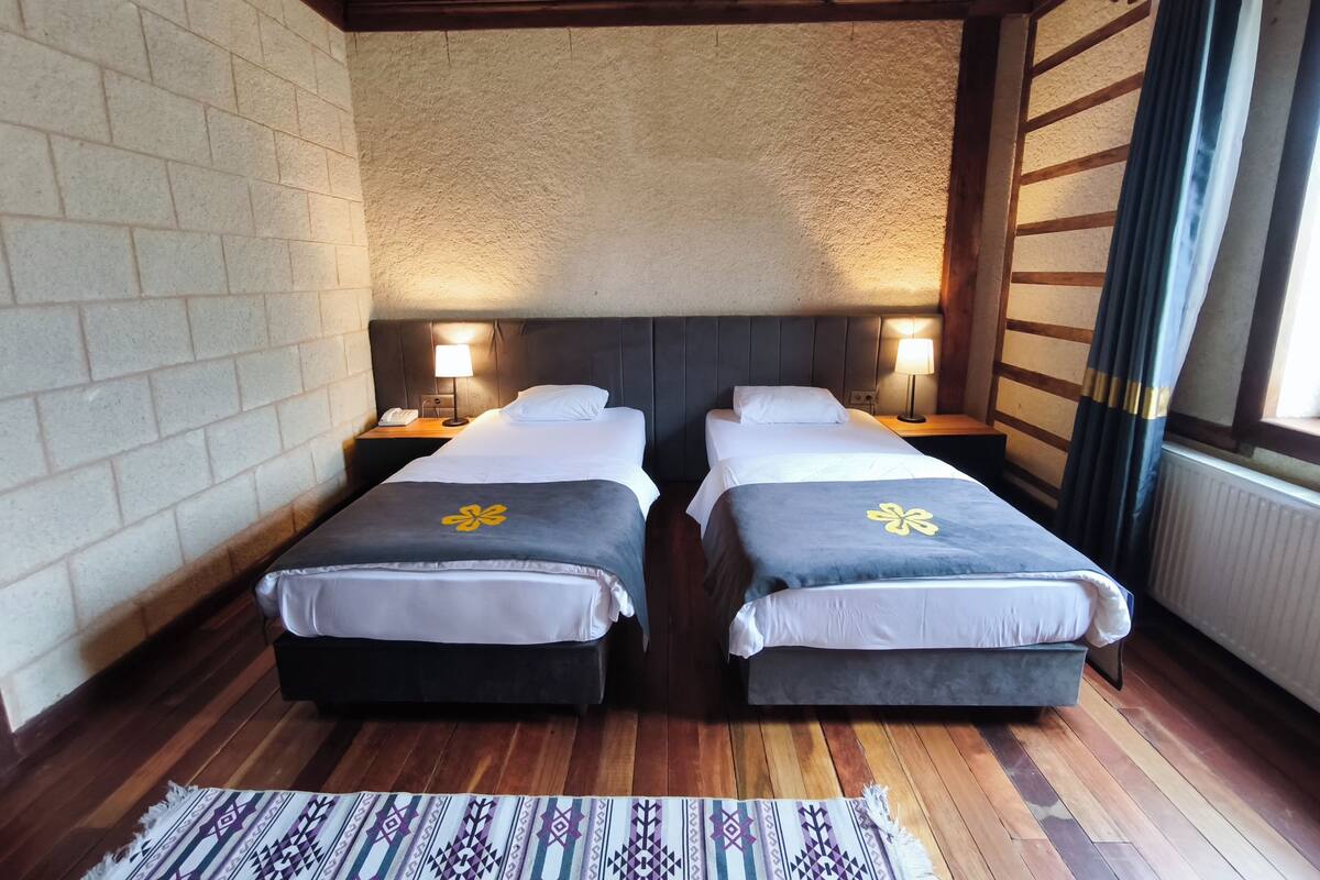 Standard Twin Room | Desk, WiFi (free)