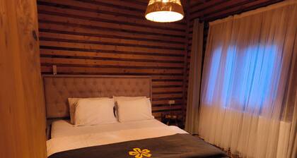 Zifin Hotel