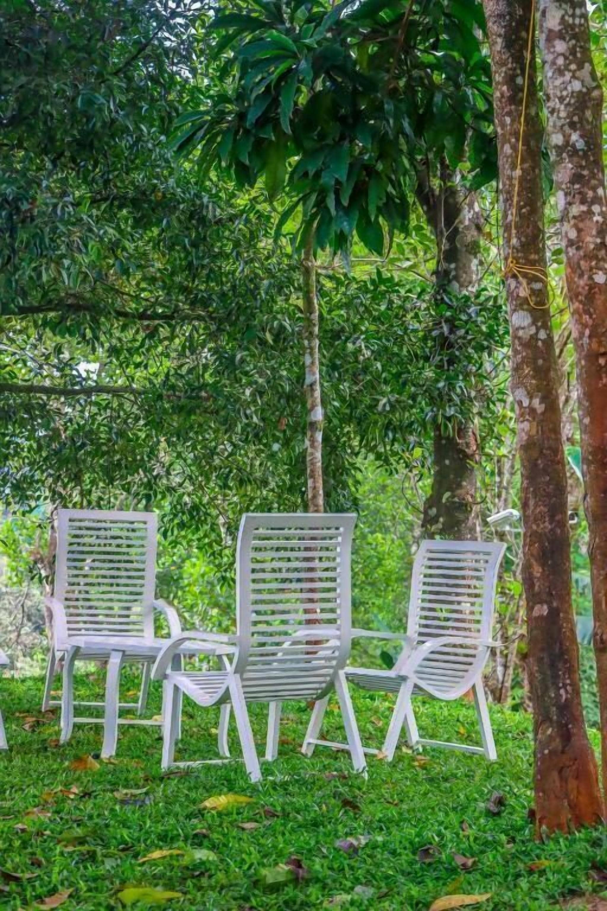 Halaman properti