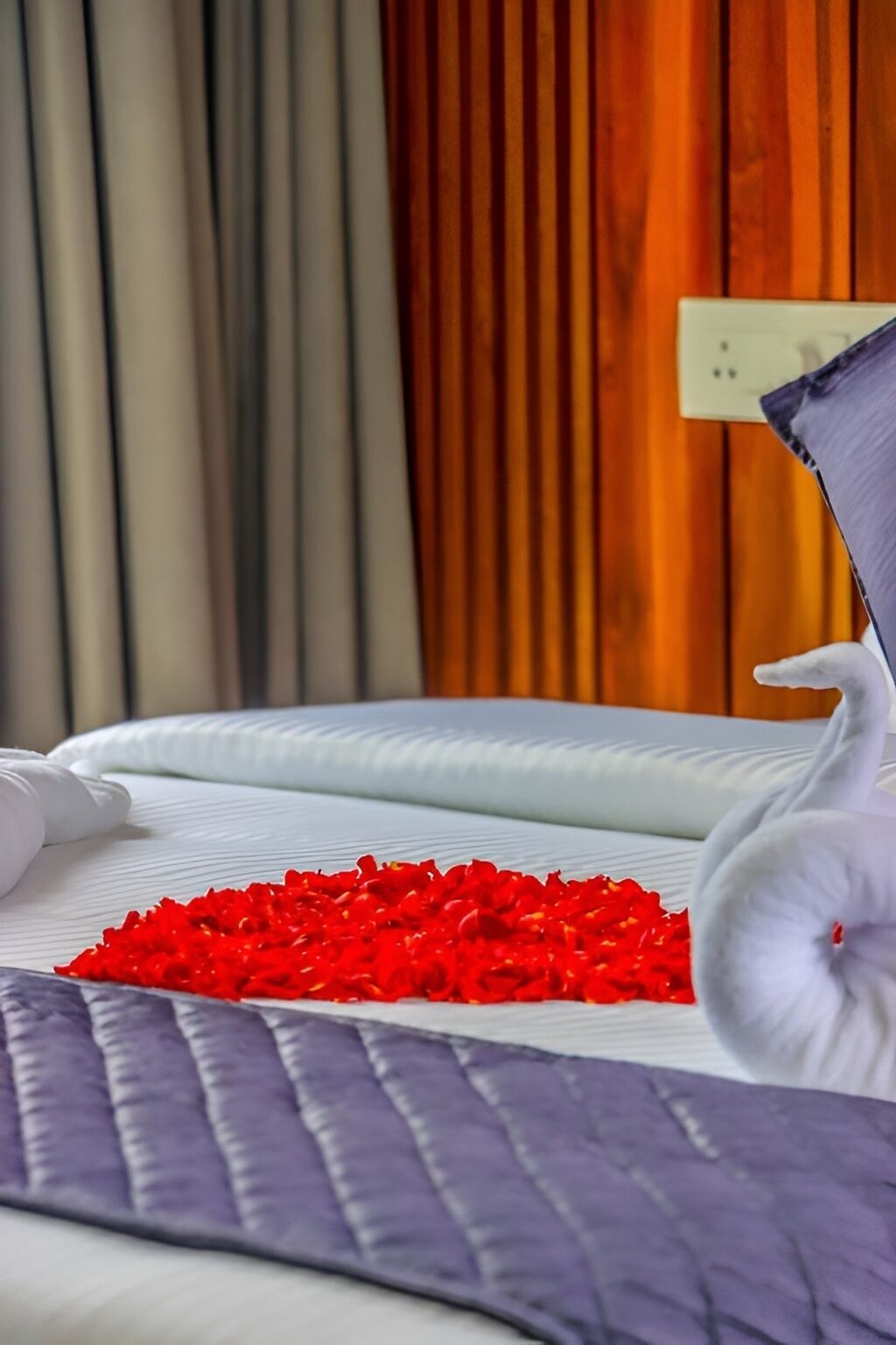 A hotel room with a bed, a swan-shaped pillow, and red rose petals on the bed.