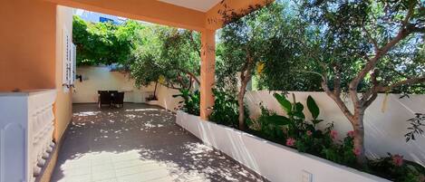 Un espacio al aire libre cubierto, con suelo de baldosas, un conjunto de asientos y diversas plantas y árboles.