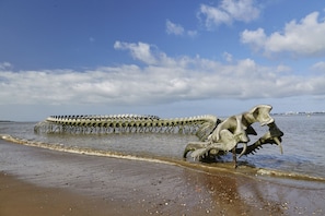 Une plage où se trouve une grande structure squelettique qui s’étend dans l’eau.