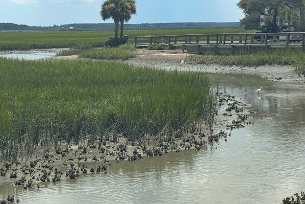 A water body with dense vegetation and a wooden bridge. - 1 BR Ocean Inlet View With Private Pool (Murrells Inlet)