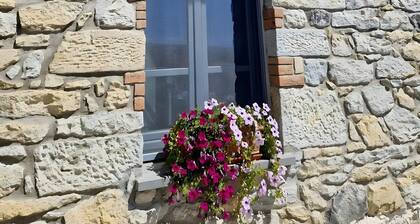 Exclusive Guest House with Terrace, Slow Tourism in Authentic Alta Marmilla, Breakfast Included