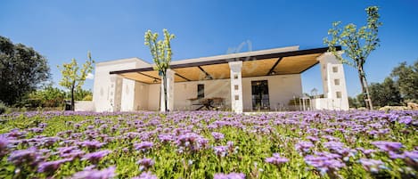 A modern building with a covered patio area, surrounded by a field of purple flowers.