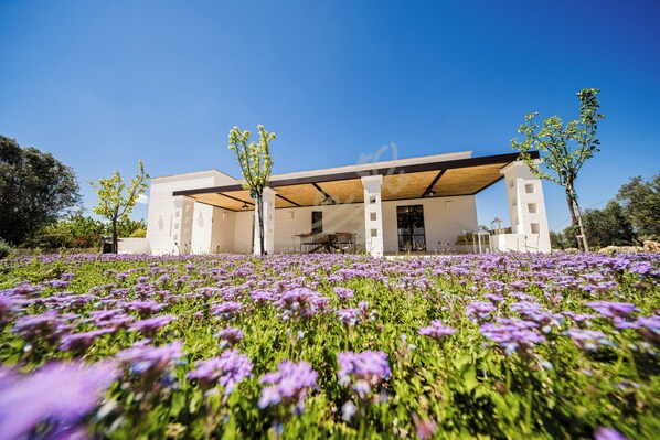 Een modern gebouw met een overdekte patio, omgeven door een veld paarse bloemen.