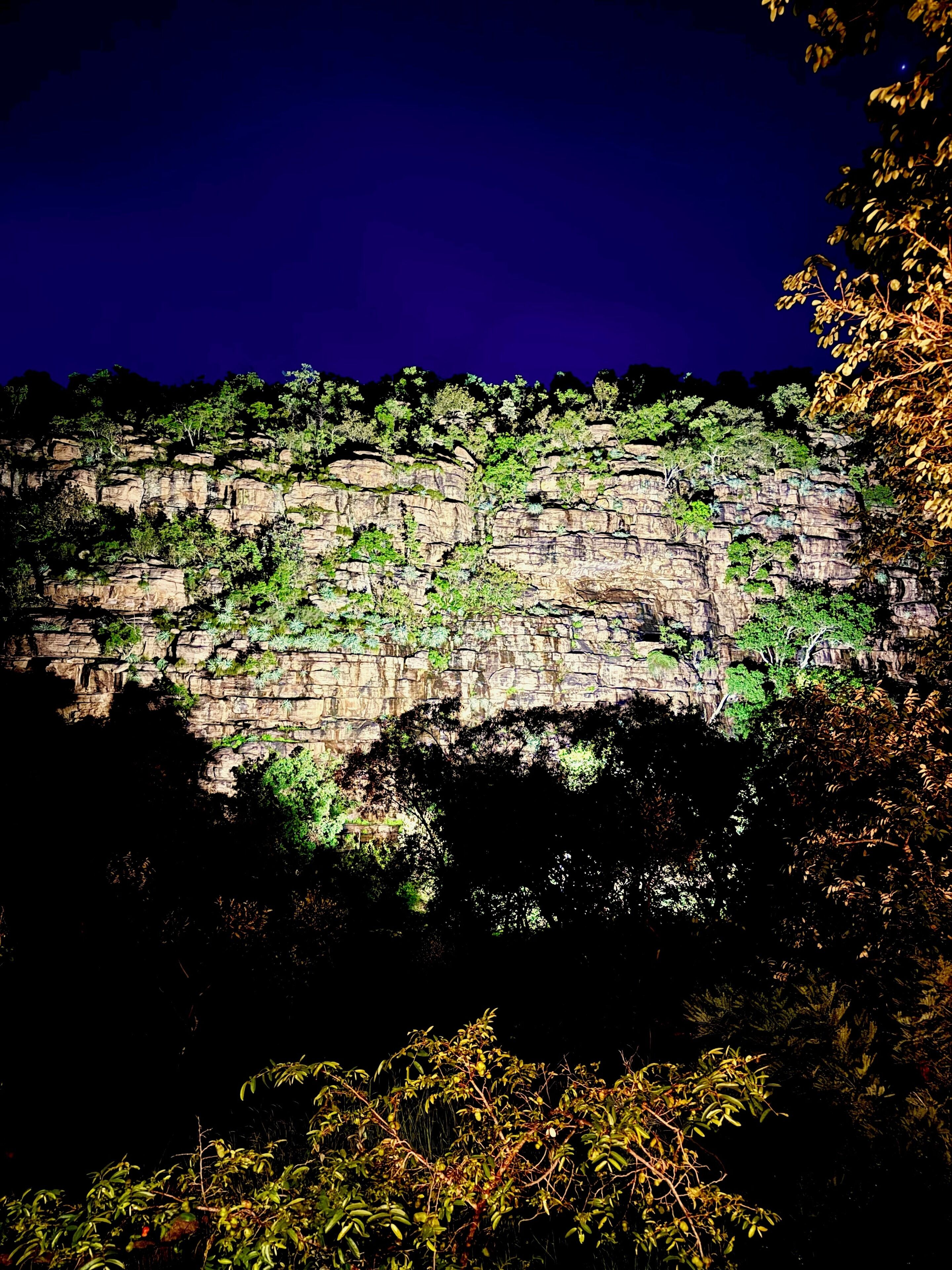 A rock formation with vegetation.