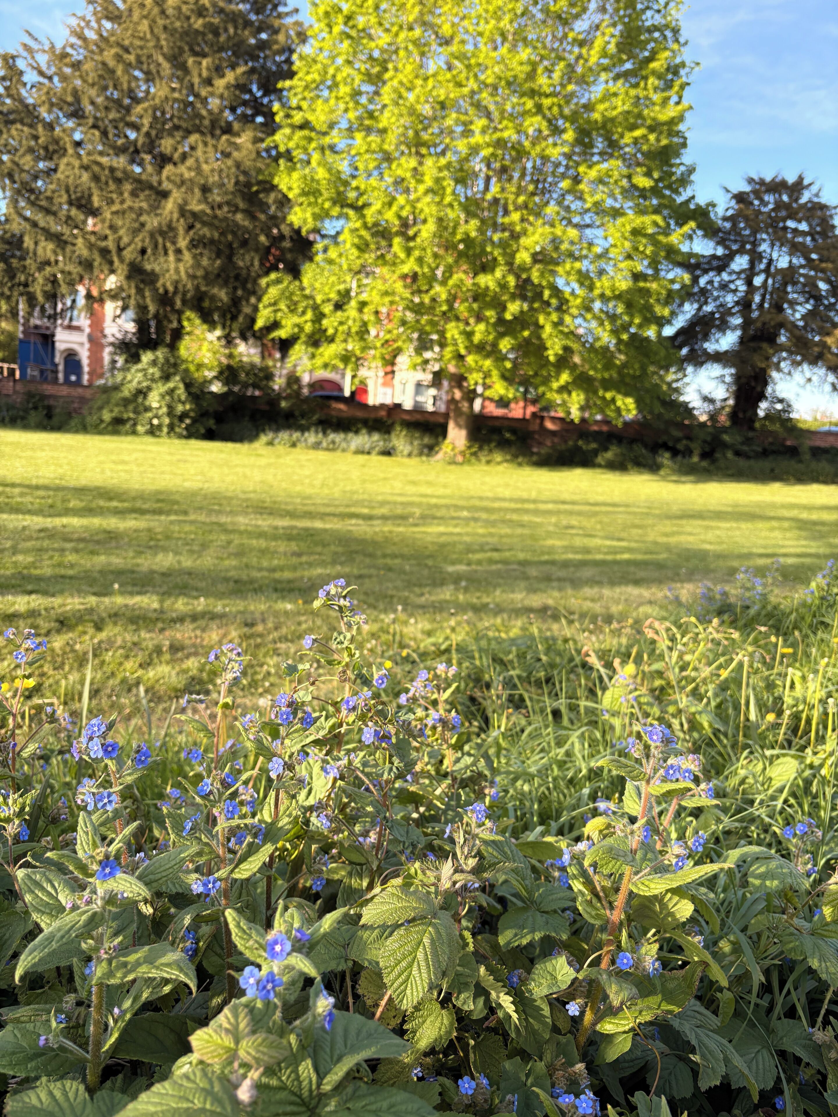 Jardines del alojamiento