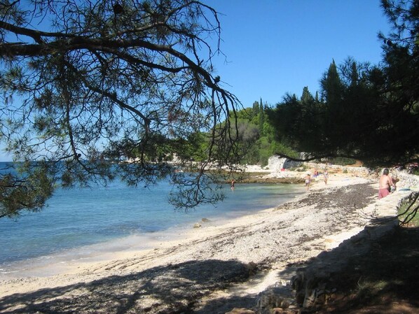 A beach with clear water, a sandy shore, and trees in the background. - Rovinj, the Magic Peninsula in Croatia (Rovinj)