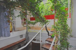 A room with a staircase, a window with a curtain, and a plant. - Rovinj, the Magic Peninsula in Croatia (Rovinj)