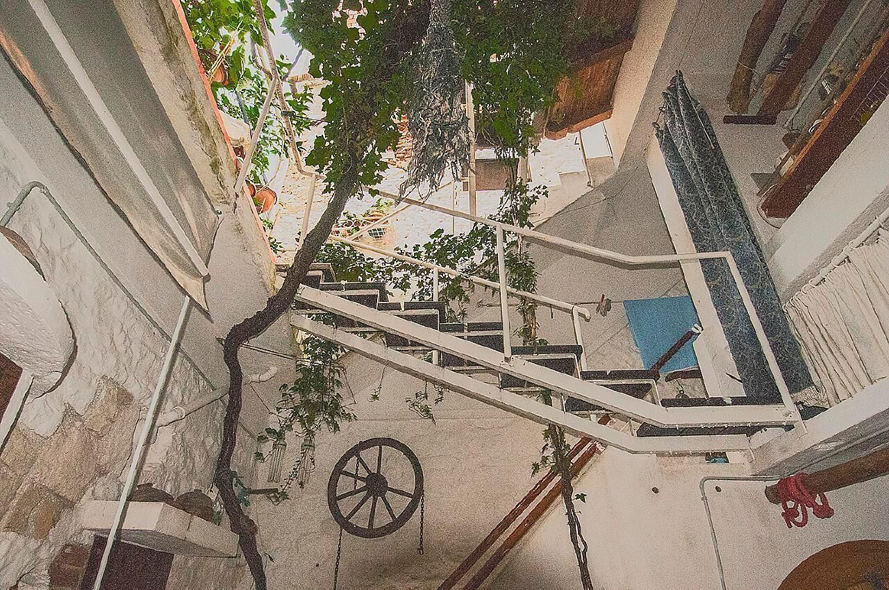 Una escala de caragol amb un arbre que en creix, envoltada de murs amb elements decoratius.