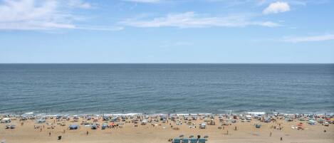 A beach with a fence, beach umbrellas, and a clear sky.