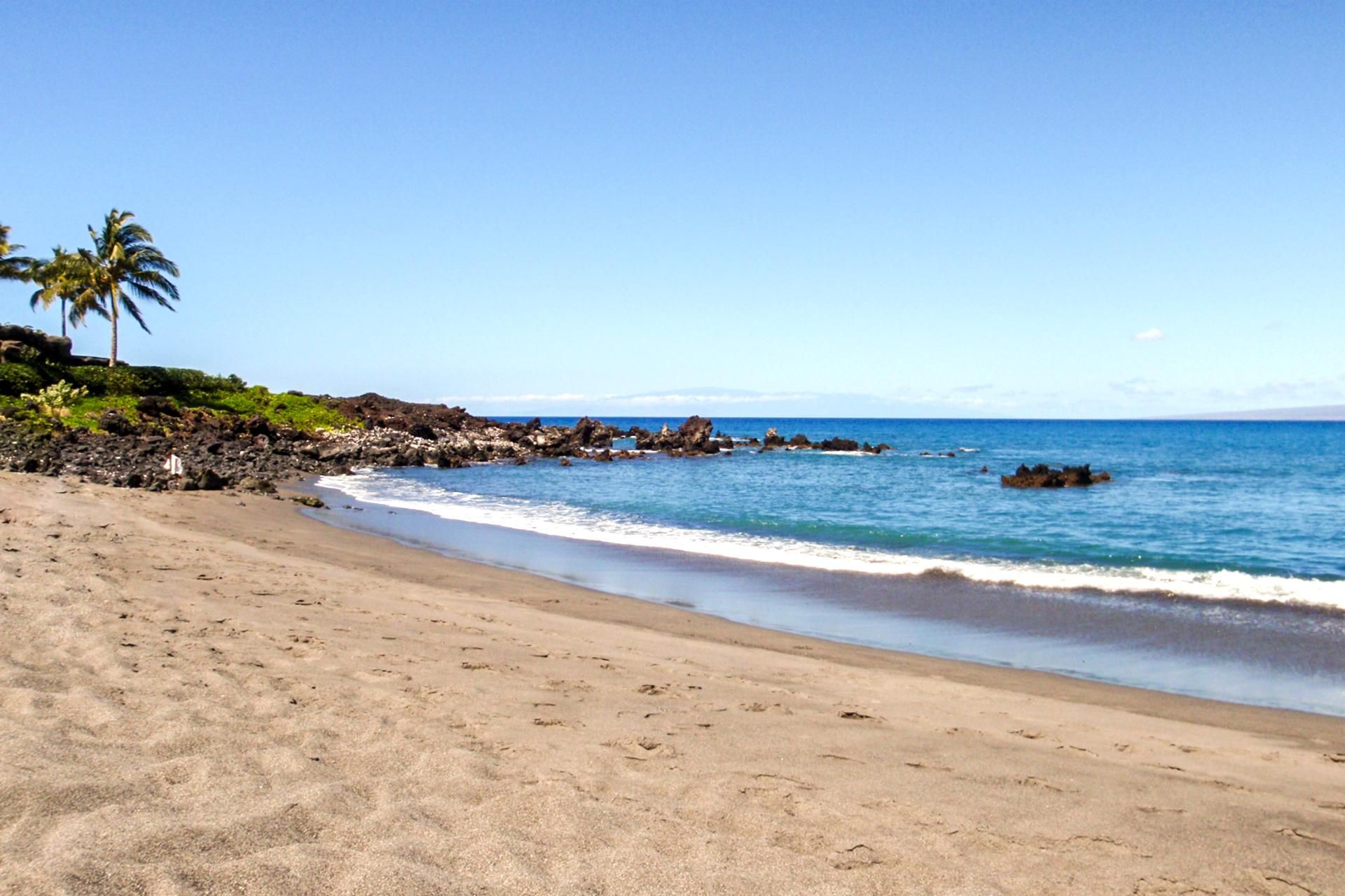 A sandy beach with clear blue water, rocky outcrops, and a palm tree.