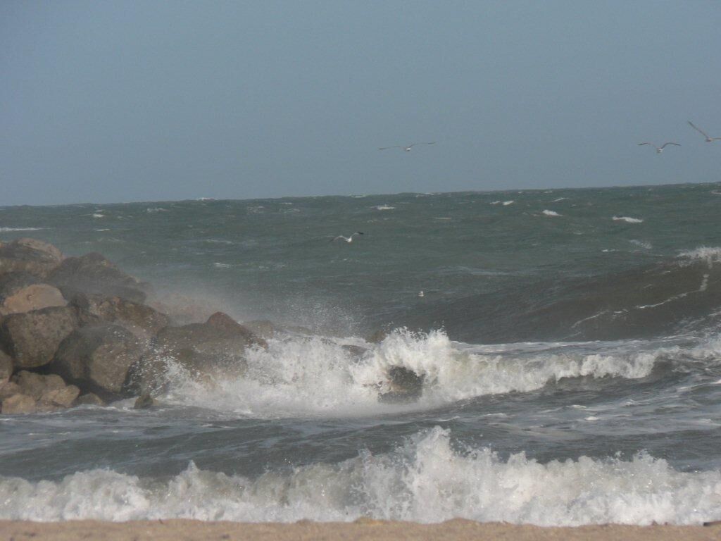 Een strand met golven die tegen rotsen slaan en meeuwen die in de lucht vliegen.