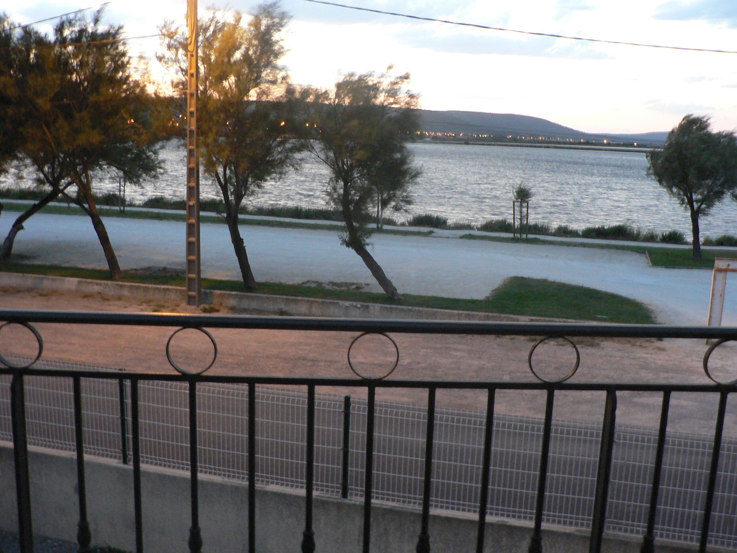 A view of a river with a bridge in the distance, trees along the riverbank, and a metal railing in the foreground.