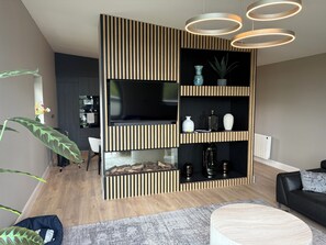 Smart TV, fireplace, books