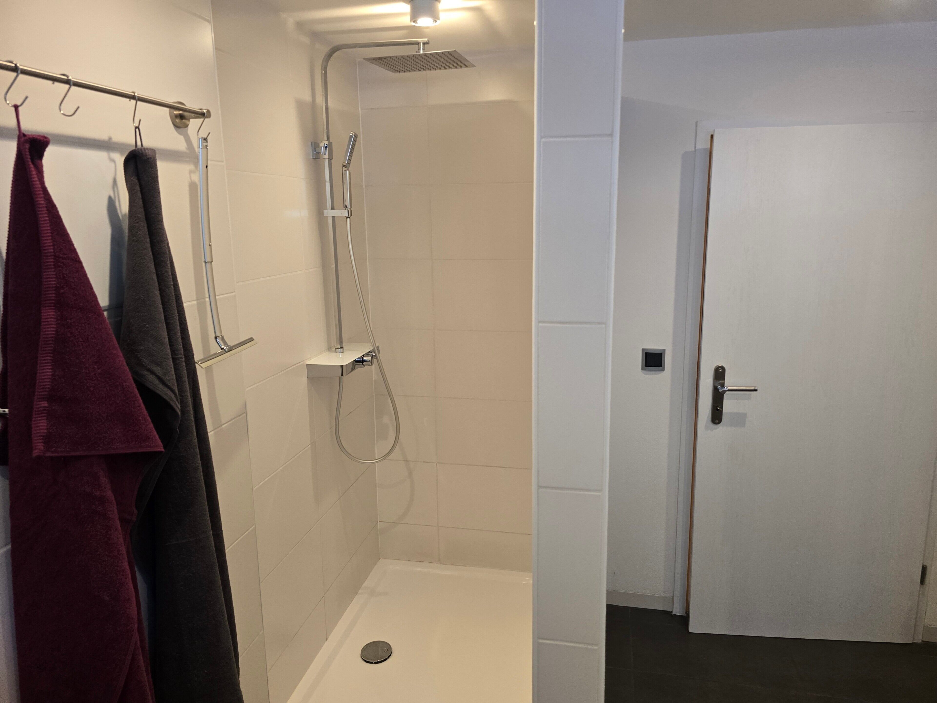 Shower, hair dryer, towels