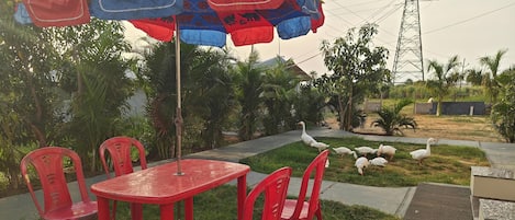 Restauration en plein air