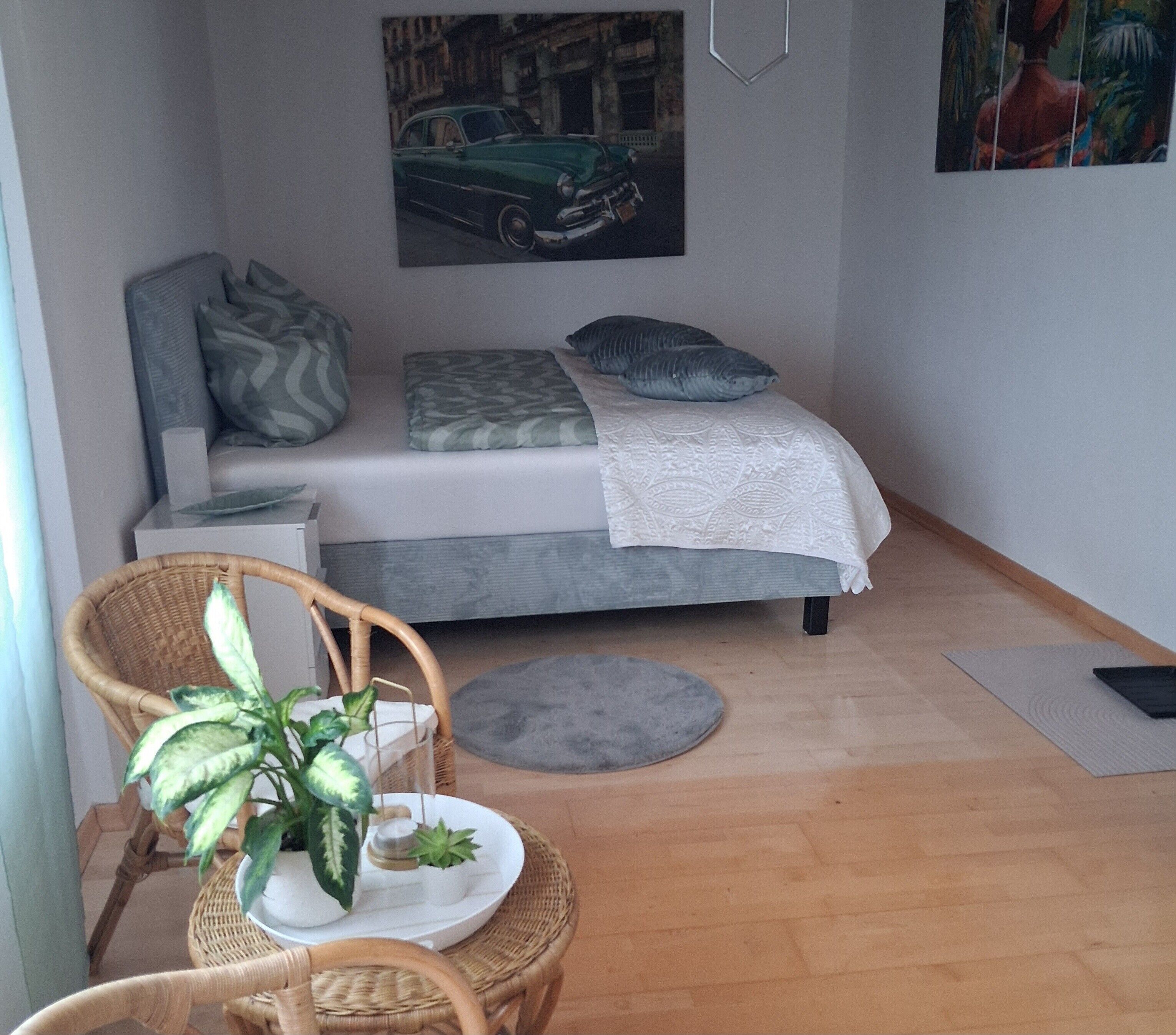 3 chambres, fer et planche à repasser, Wi-Fi, draps fournis