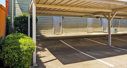 Forest Loft Condo - 1 bed/1bath
