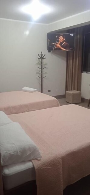 Laptop workspace, iron/ironing board (on request), free WiFi - Los Kristales (tingo maria)