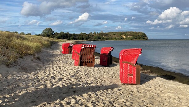 A beach with red beach chairs lined up on the sand, a calm body of water, and a distant tree-covered landmass. - "Dünenrose" Beach Studio in Lobbe, with a balcony—4 minutes from the sandy beach (Mönchgut)