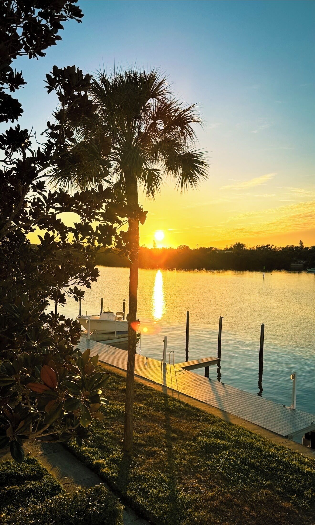 Una vista del atardecer sobre un lago tranquilo, con un muelle y una palmera en primer plano.