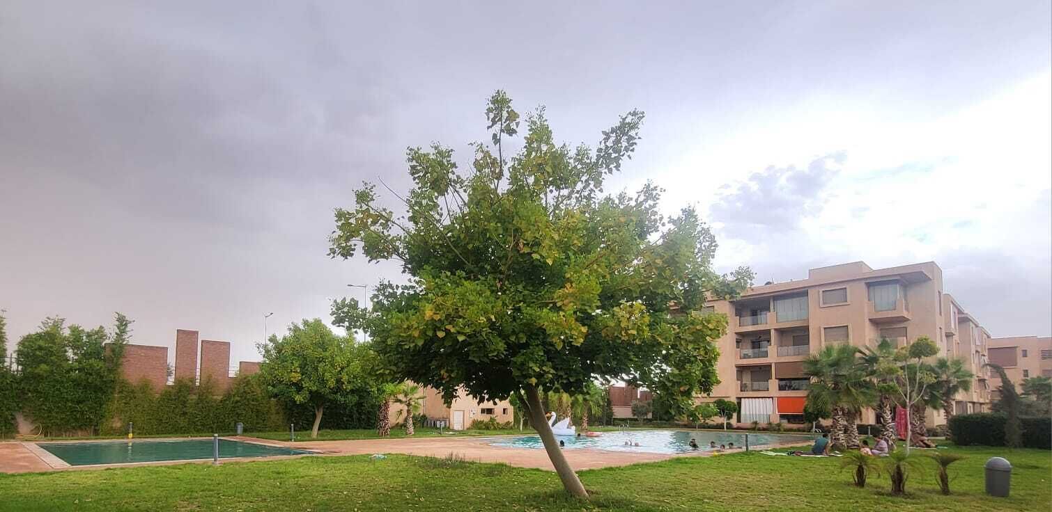 حمام سباحة