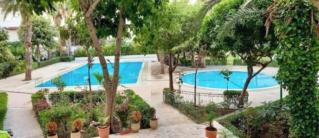 Un área de piscina con dos piscinas, rodeada de plantas en macetas y árboles.