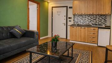 Economy Apartment | Living area