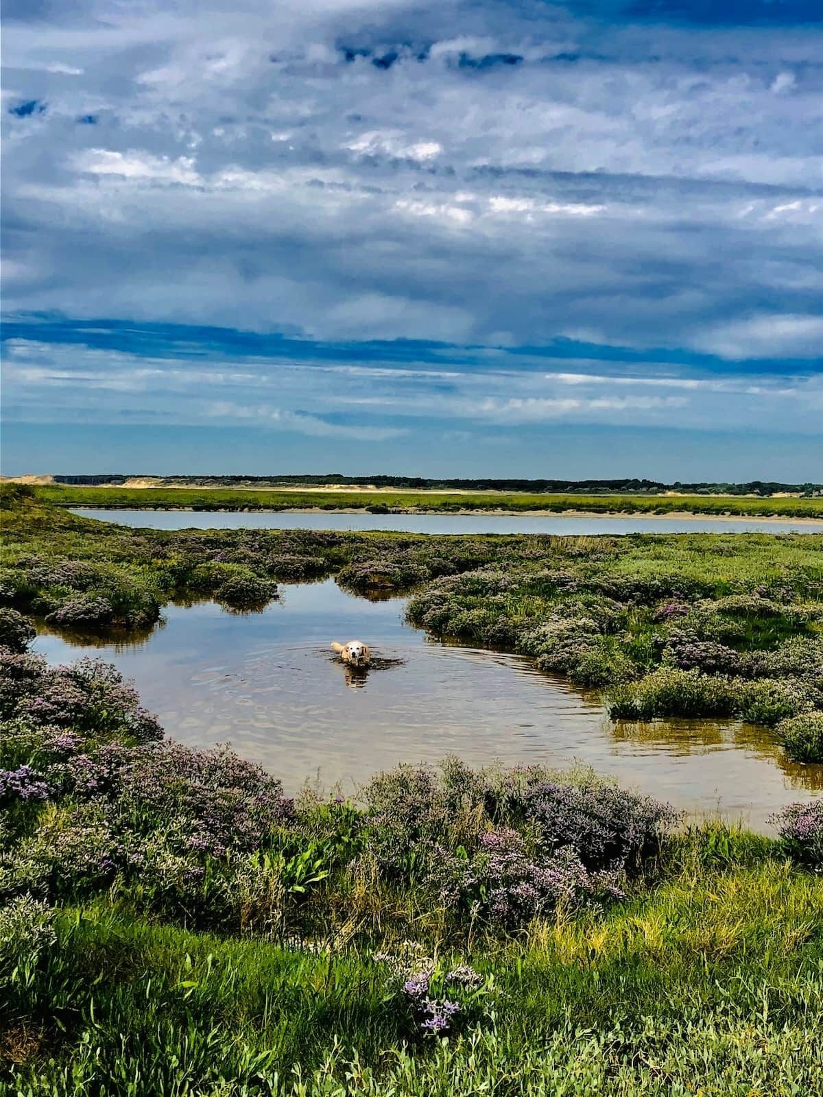 Paisatge natural amb una massa d'aigua, envoltat de vegetació verda i un cel nuvolós.