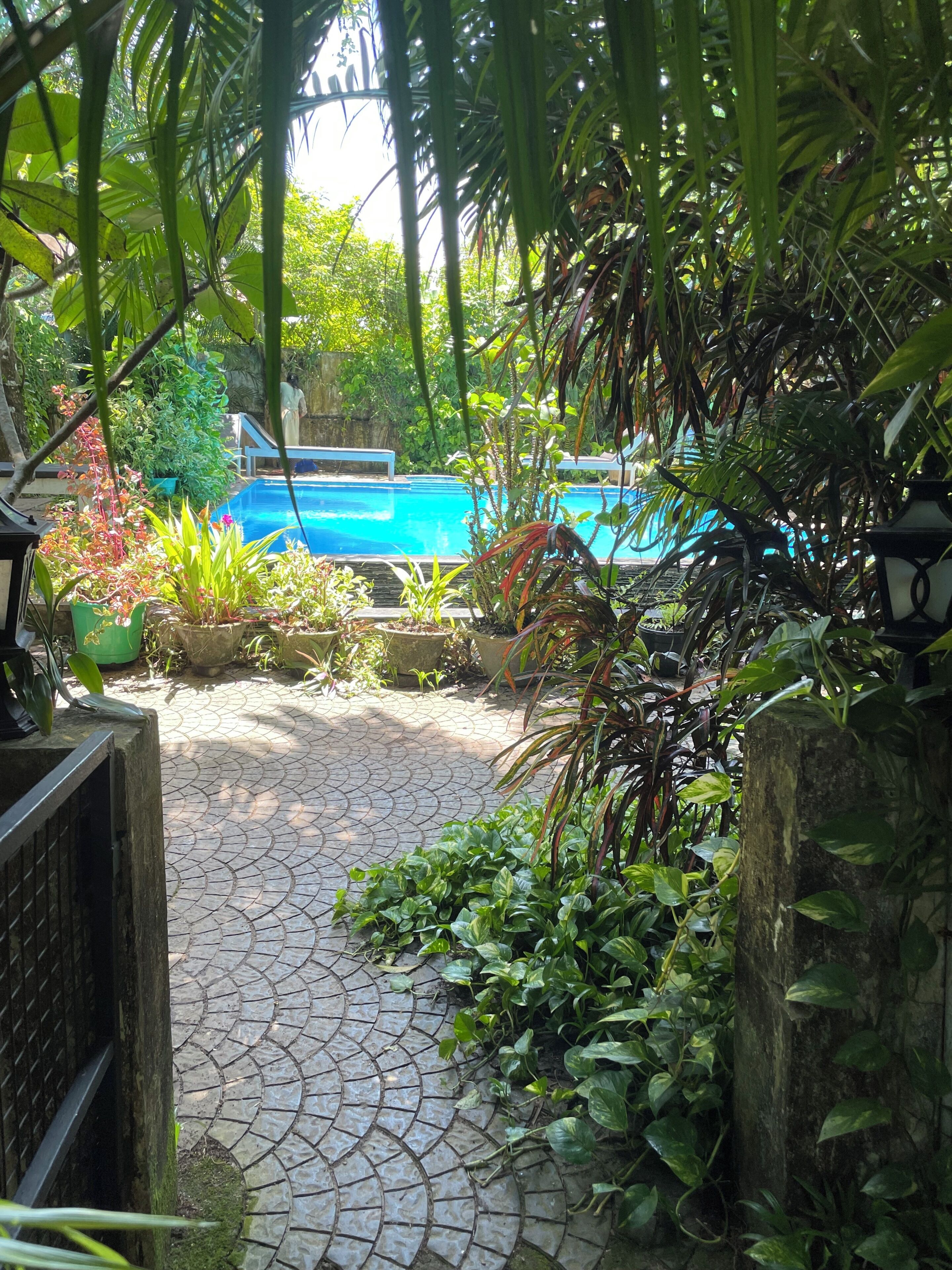 Un espace piscine agrémenté d’un chemin dallé menant à la piscine, le tout entouré d’une végétation luxuriante et de plantes en pot.